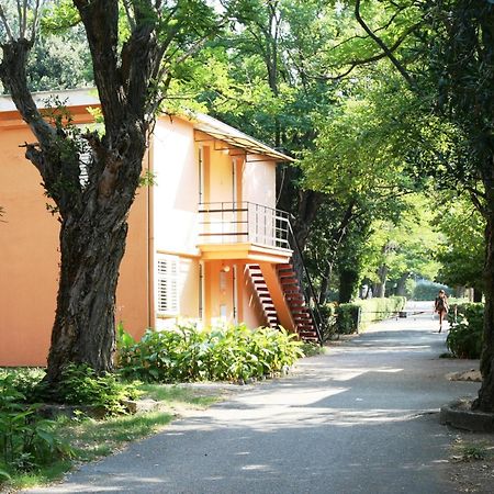 Hotel Kamelija Tivat Eksteriør bilde